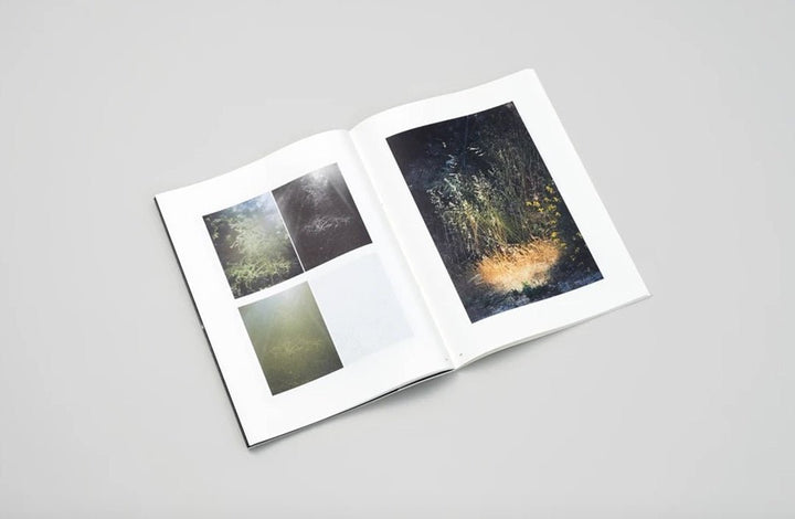 Ex nihilo by Daniel Shea - Tipi bookshop