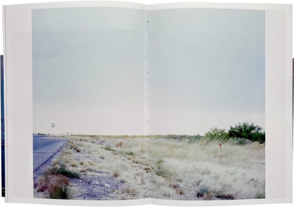 Falsification by Seba Kurtis and Hiromi Kawakami - Tipi bookshop