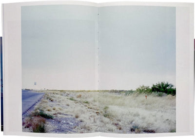 Falsification by Seba Kurtis and Hiromi Kawakami - Tipi bookshop