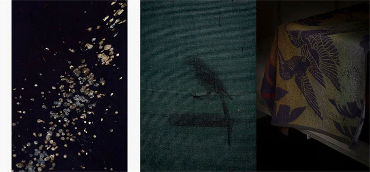 Feræ by Aurélie Scouarnec - Tipi bookshop