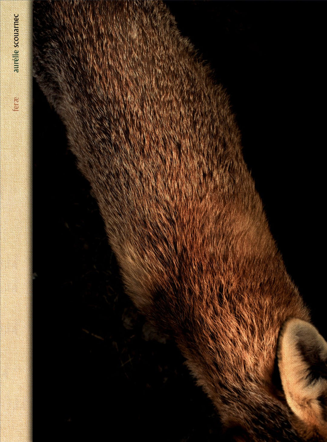 Feræ by Aurélie Scouarnec - Tipi bookshop