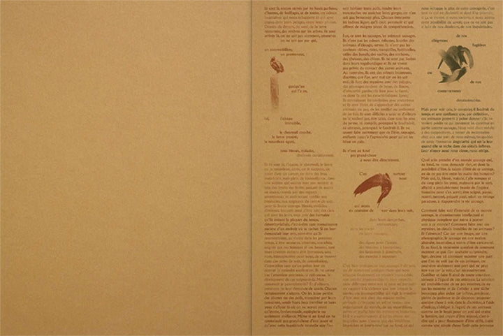 Feræ by Aurélie Scouarnec - Tipi bookshop