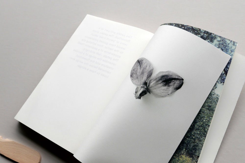 Gaze by Saskia Overzee & Amanda Butterworth - Tipi bookshop