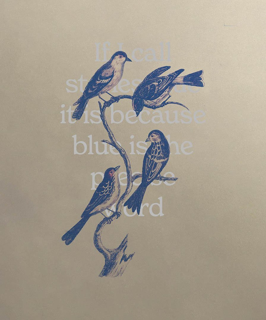 If I call stones blue it is because blue is the precise word by Joselito Verschaeve - Tipi bookshop