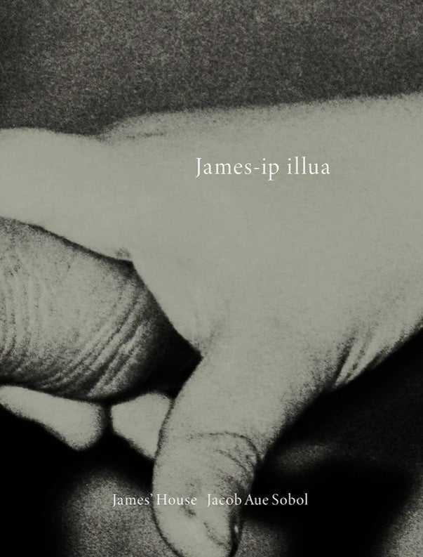 James' House by Jacob Aue Sobol - Tipi bookshop