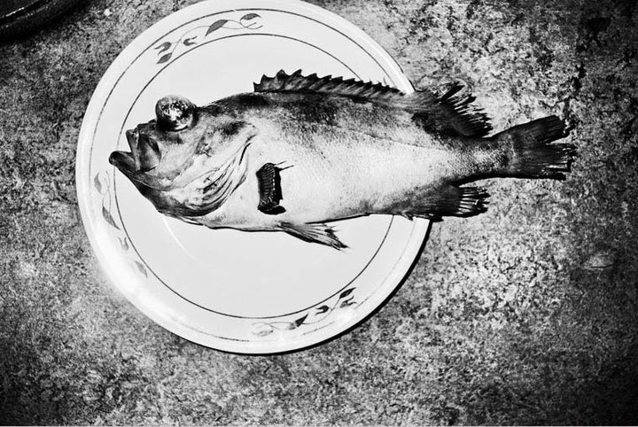 James' House by Jacob Aue Sobol - Tipi bookshop