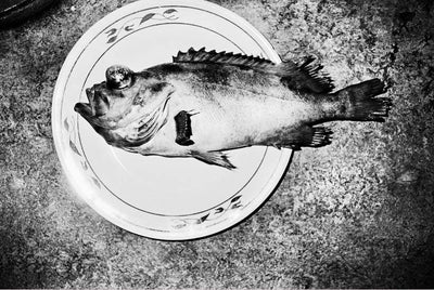 James' House by Jacob Aue Sobol - Tipi bookshop