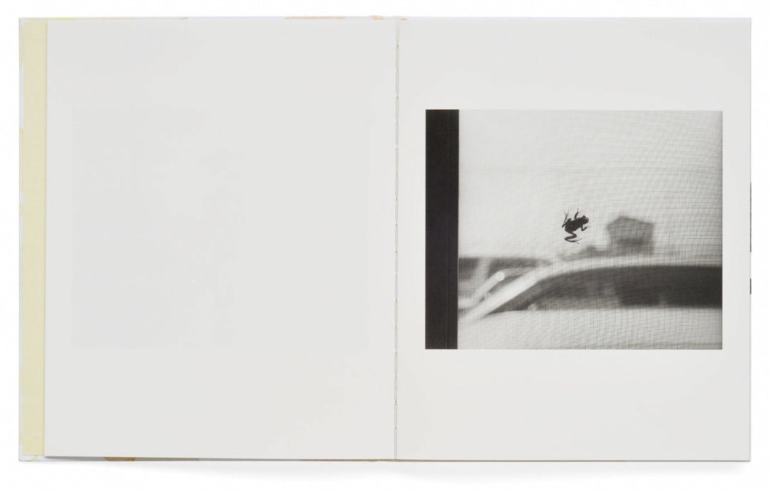Kito by Masako Tomiya - Tipi bookshop