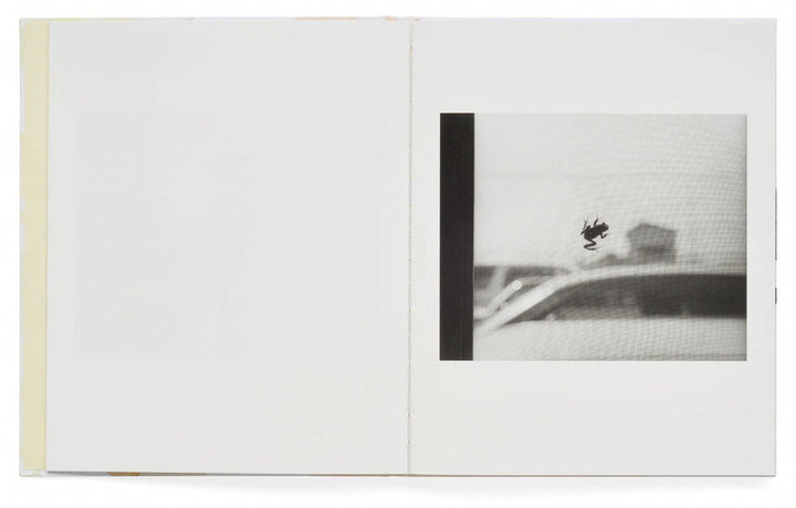 Kito by Masako Tomiya - Tipi bookshop