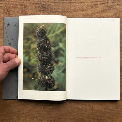La madre del fiore - Altoforno Matakam - by Roberto Faidutti - Tipi bookshop