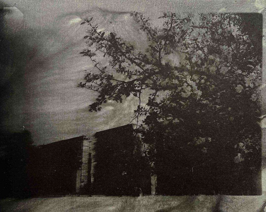 Memory of war by Bogdan Gulyay - Tipi bookshop
