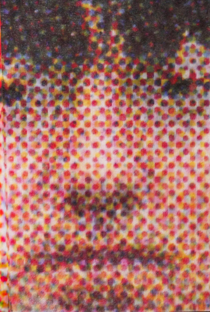 Miso Bukumirovic by Hajime Kimura - Tipi bookshop