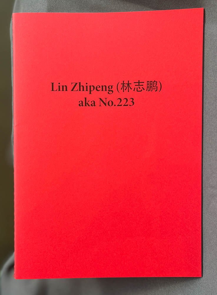 Mysterious Skin by Lin Zhipeng aka 223 - Tipi bookshop