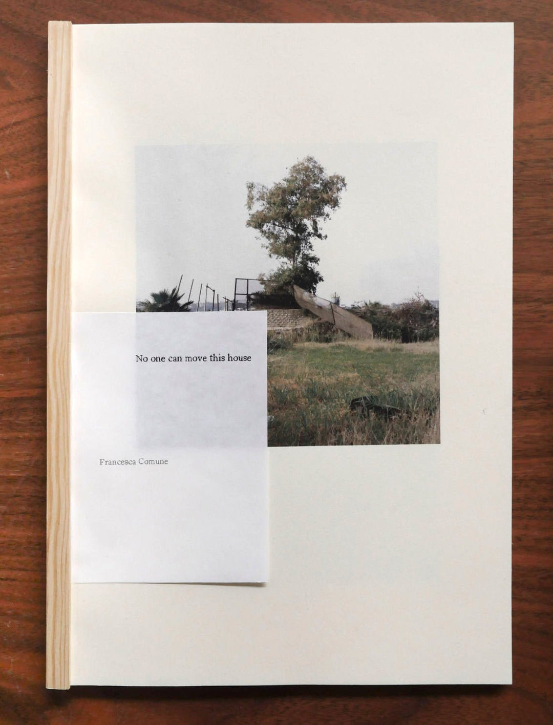 No one can move this house by Francesca Comune - Tipi bookshop
