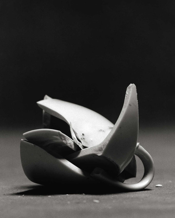 O by Luis Alberto Rordiguez - Tipi bookshop