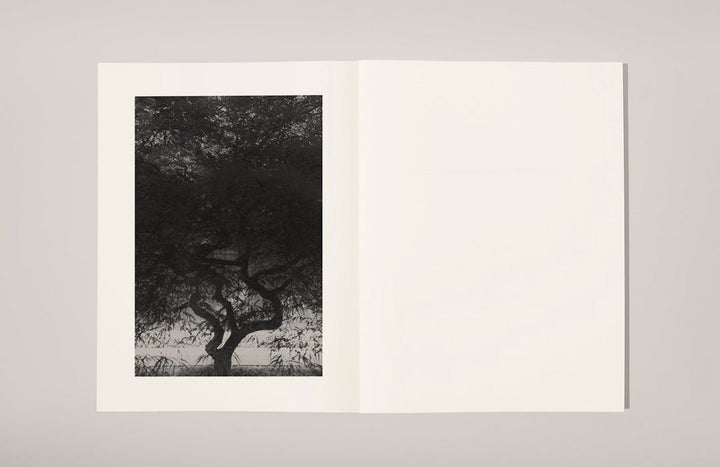Object amnesic: a compost manifesto by Henrik Strömberg & Jens Soneryd - Tipi bookshop