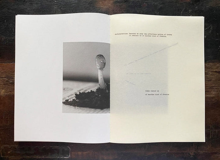 Object amnesic: a compost manifesto by Henrik Strömberg & Jens Soneryd - Tipi bookshop