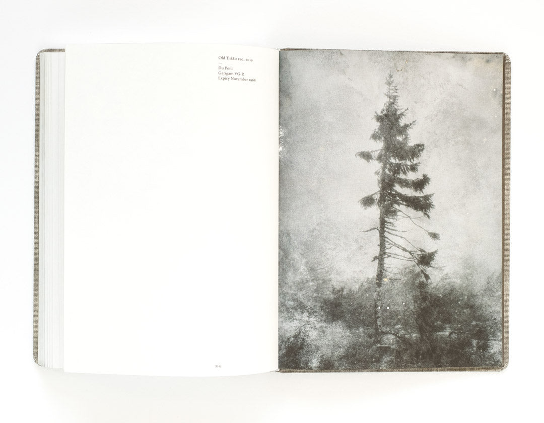 Old Tjikko by Nicolai Howalt - Tipi bookshop