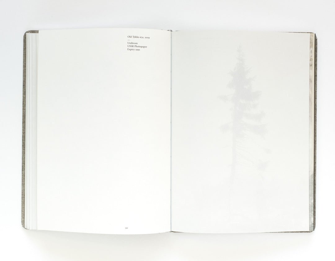 Old Tjikko by Nicolai Howalt - Tipi bookshop