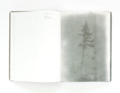 Old Tjikko by Nicolai Howalt - Tipi bookshop