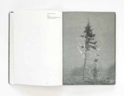 Old Tjikko by Nicolai Howalt - Tipi bookshop