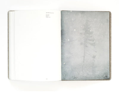 Old Tjikko by Nicolai Howalt - Tipi bookshop