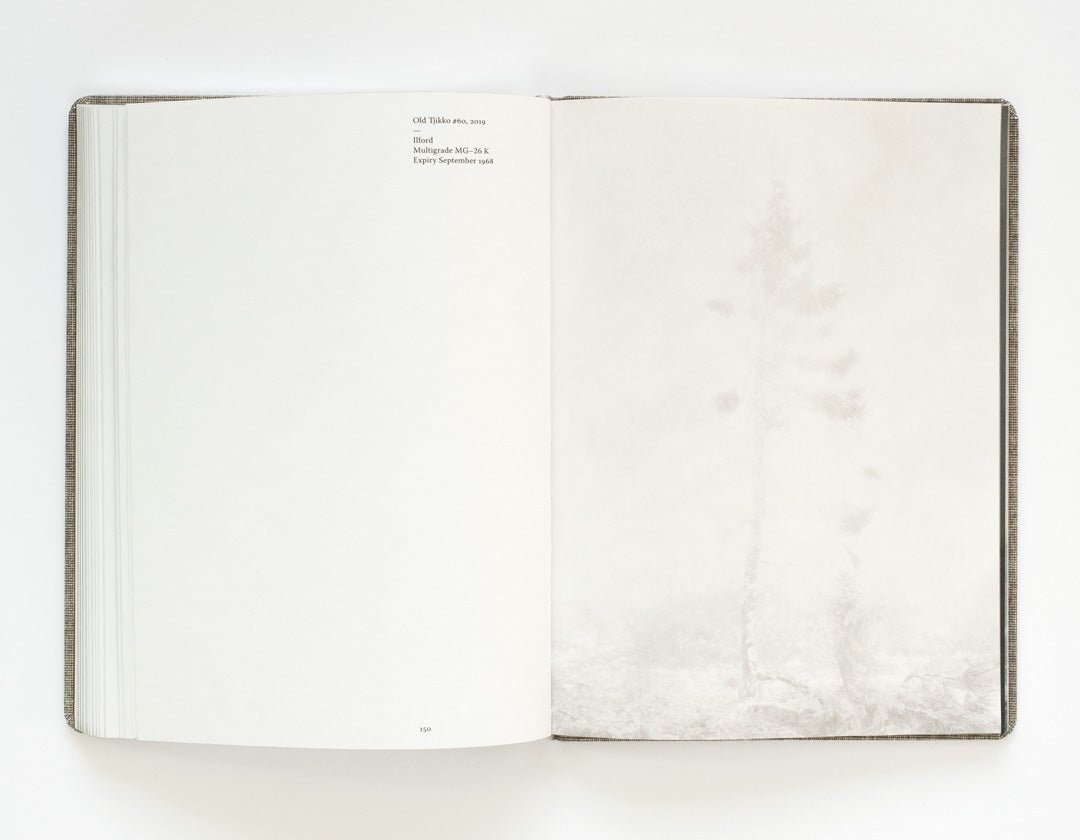 Old Tjikko by Nicolai Howalt - Tipi bookshop