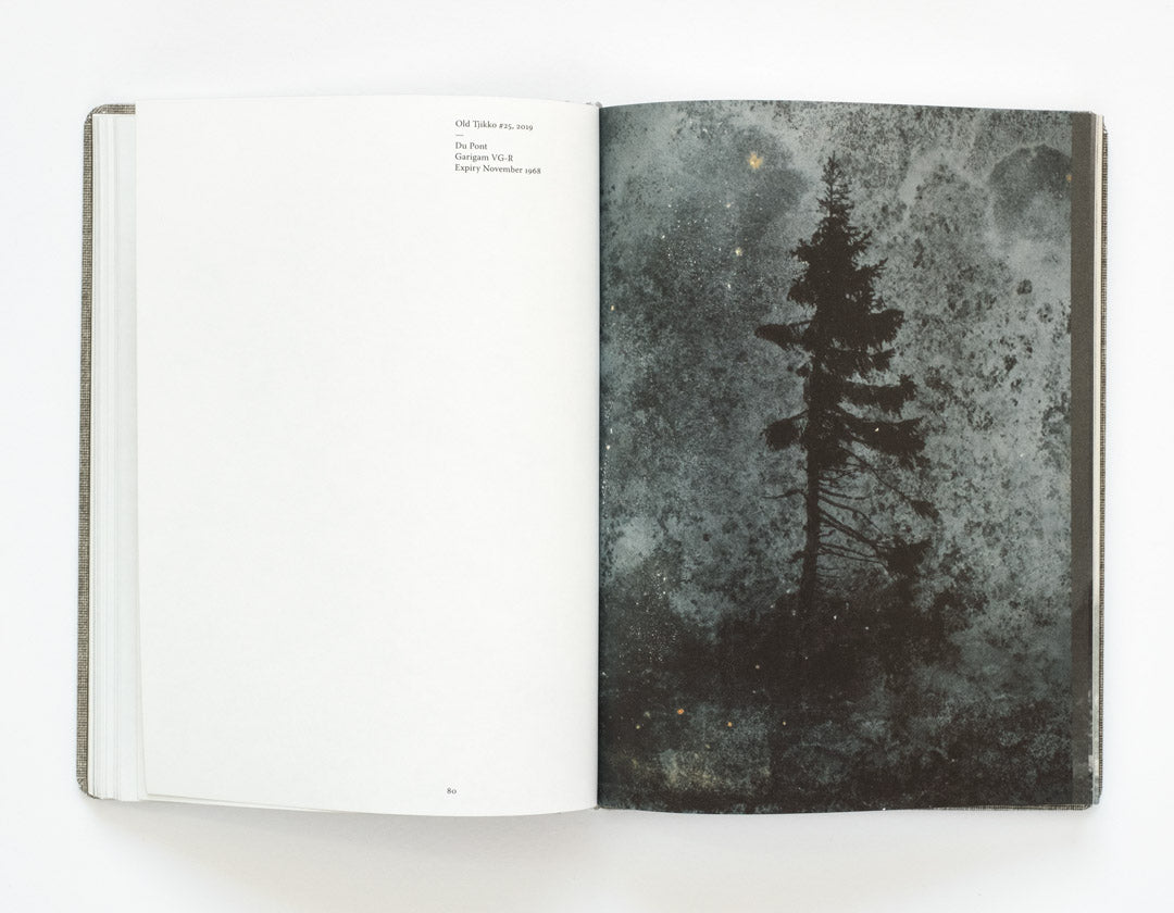 Old Tjikko by Nicolai Howalt - Tipi bookshop