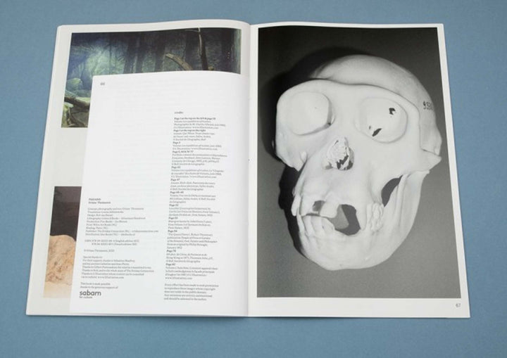 Paradis by Oriane Thomasson - Tipi bookshop