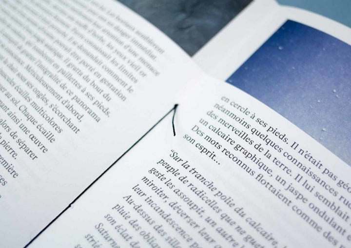 Paradis by Oriane Thomasson - Tipi bookshop