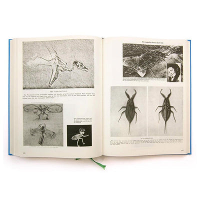 Parallel Encyclopedia Vol.1 -reprint- by Batia Suter - Tipi bookshop
