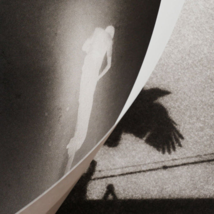 Passenger by Martin Bogren - Tipi bookshop