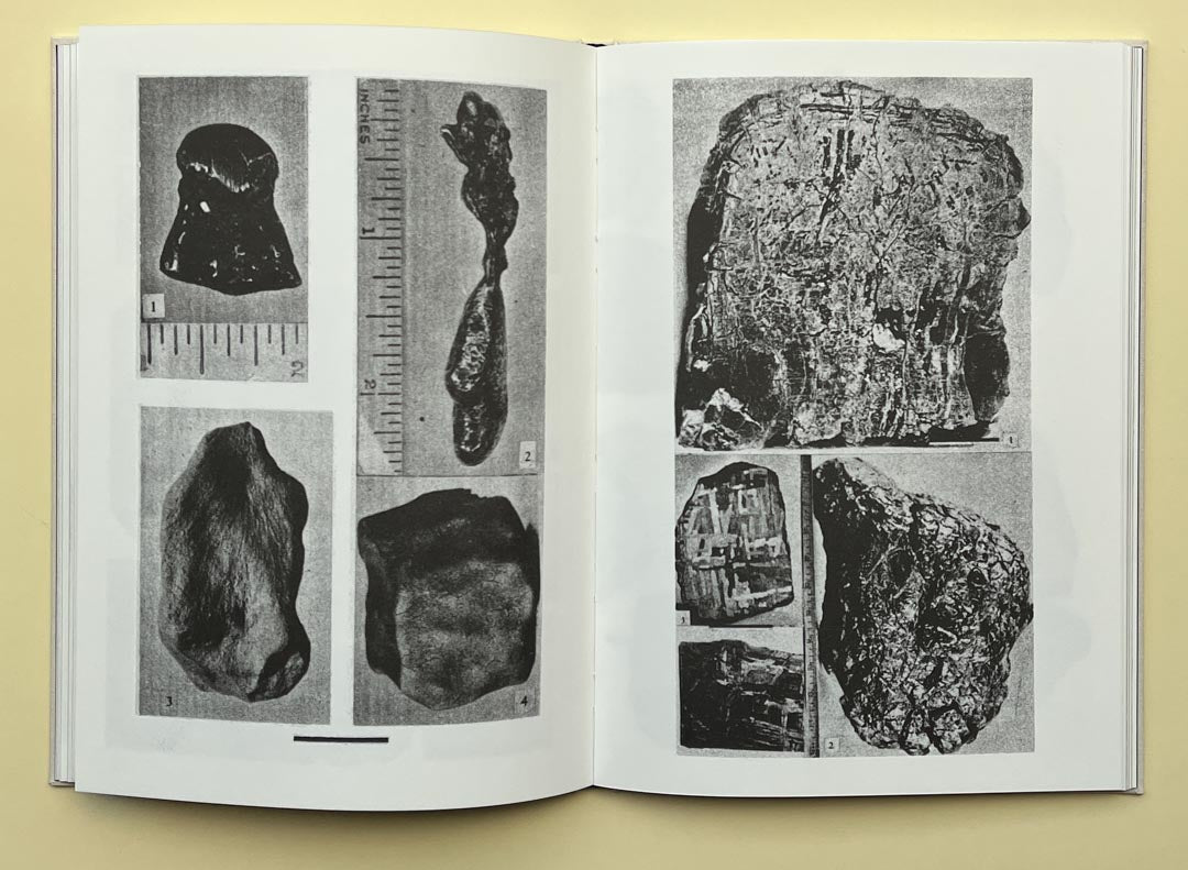 Studies of falls by Magdalena Wysocka - Tipi bookshop