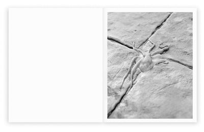 Sub Sole by Massao Mascaro - Tipi bookshop