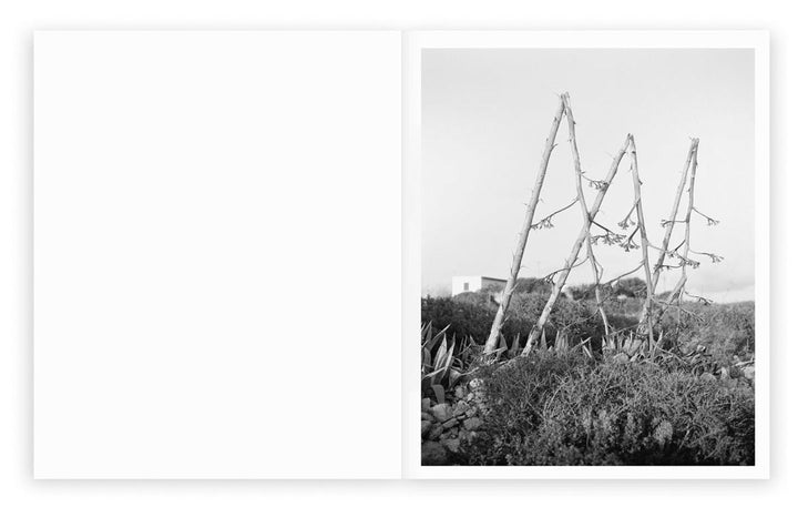 Sub Sole by Massao Mascaro - Tipi bookshop