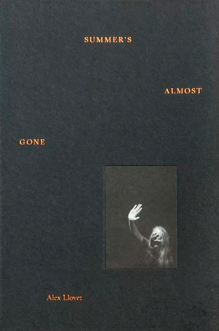 Summer's Almost Gone by Alex Llovet - Tipi bookshop