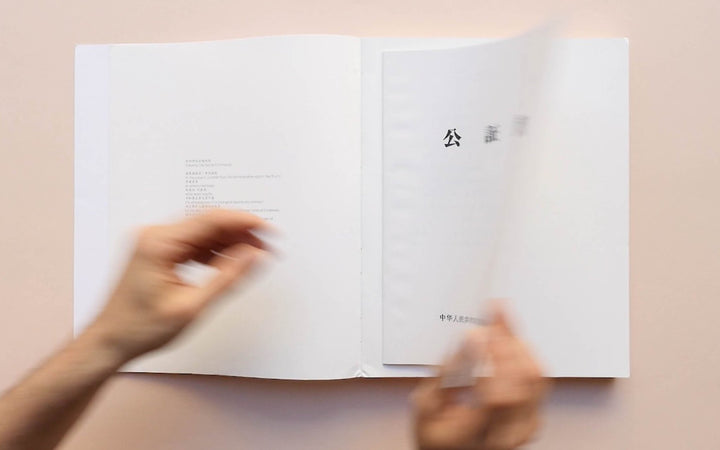 The Land of Promises by Youqine Lefèvre - Tipi bookshop