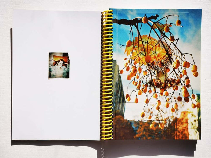 There is hope but not for us by Vincent Delbrouck - Tipi bookshop