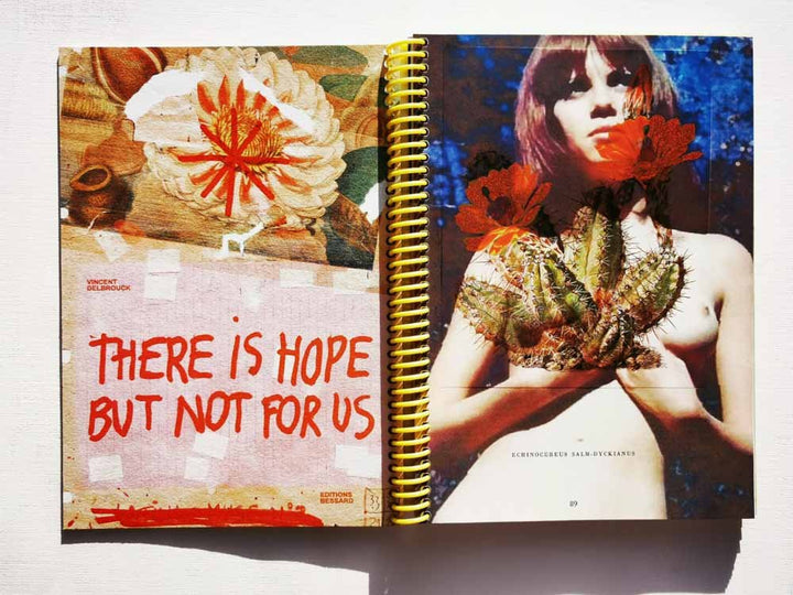 There is hope but not for us by Vincent Delbrouck - Tipi bookshop