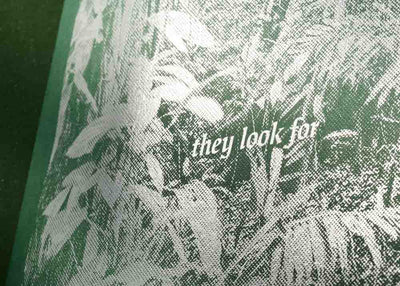 they look for animals but all they find are trees by Stijn Van der Linden - Tipi bookshop