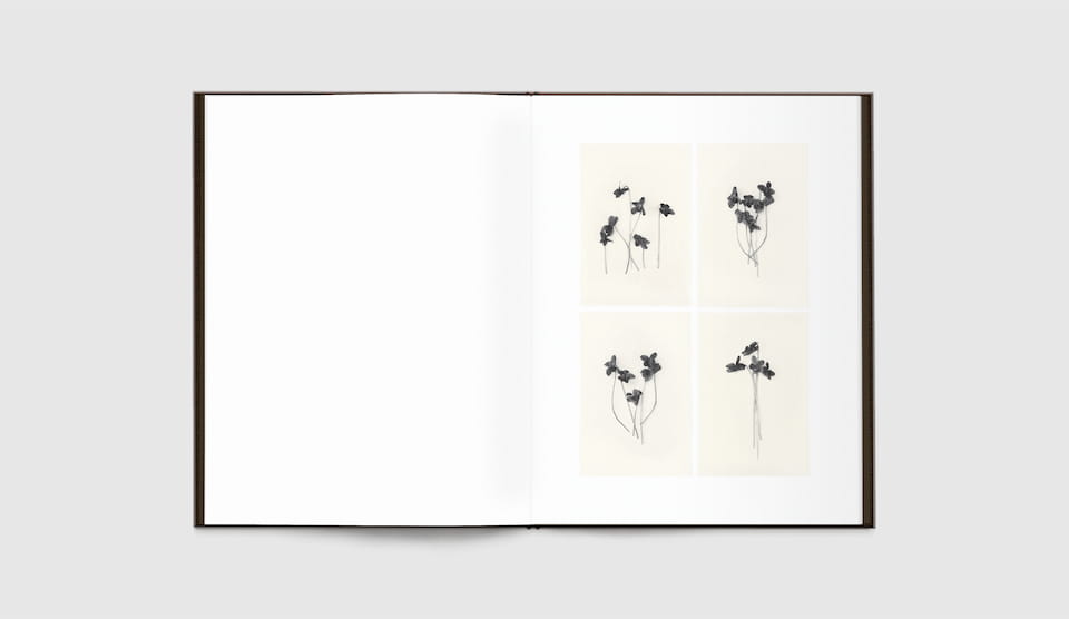 Time in Air, Time in Paper by Sachiko Morita - Tipi bookshop