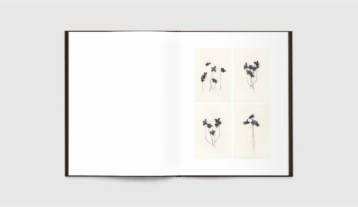 Time in Air, Time in Paper by Sachiko Morita - Tipi bookshop
