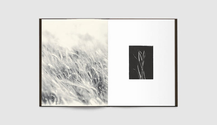 Time in Air, Time in Paper by Sachiko Morita - Tipi bookshop