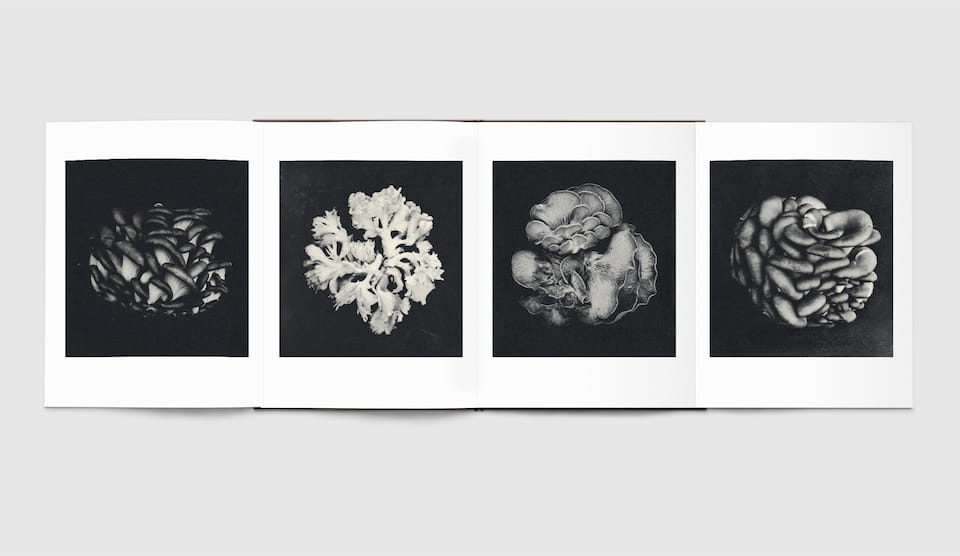 Time in Air, Time in Paper by Sachiko Morita - Tipi bookshop