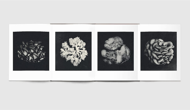 Time in Air, Time in Paper by Sachiko Morita - Tipi bookshop