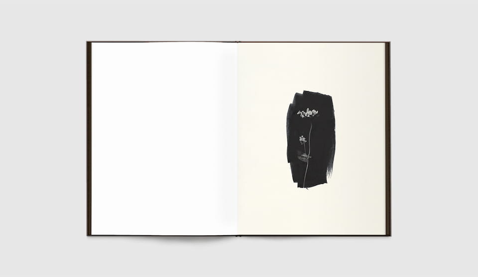 Time in Air, Time in Paper by Sachiko Morita - Tipi bookshop