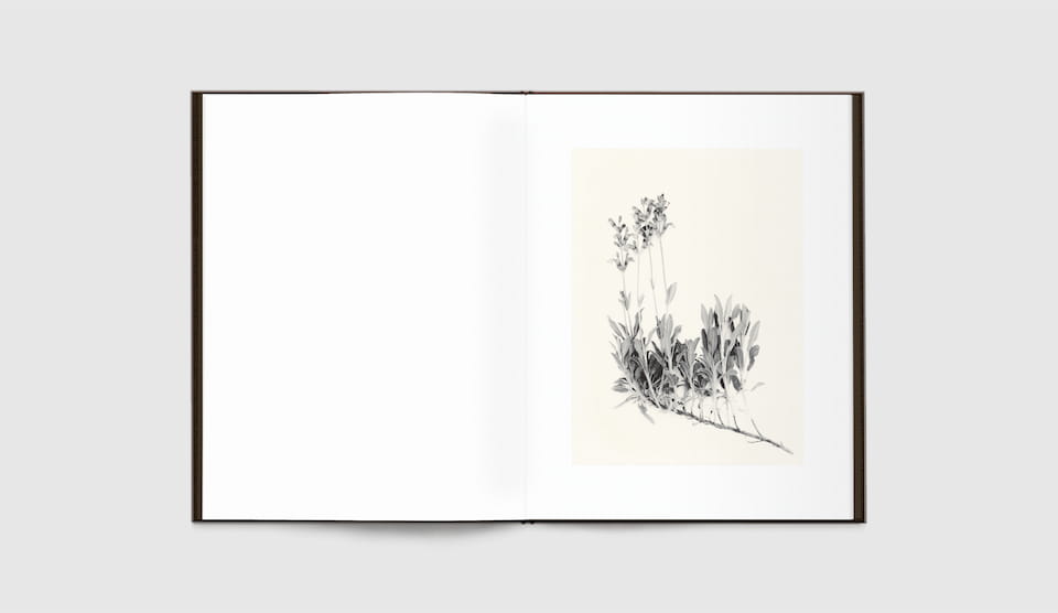 Time in Air, Time in Paper by Sachiko Morita - Tipi bookshop