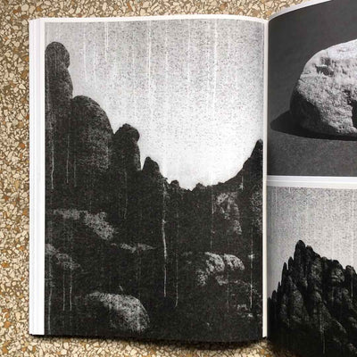 To pick up a stone by Claudia den Boer - Tipi bookshop