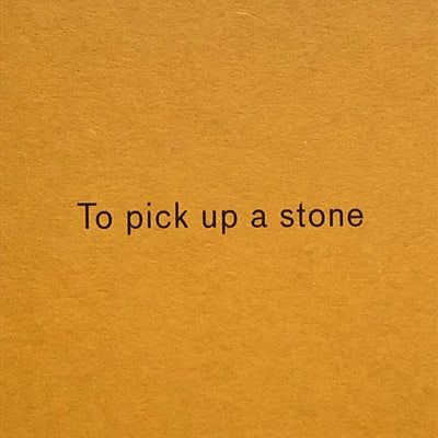 To pick up a stone by Claudia den Boer - Tipi bookshop