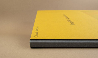 To pick up a stone by Claudia den Boer - Tipi bookshop
